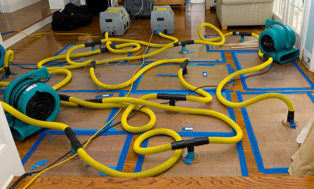 Professional Crawl Space Water Removal technician working in Woodstock, IL